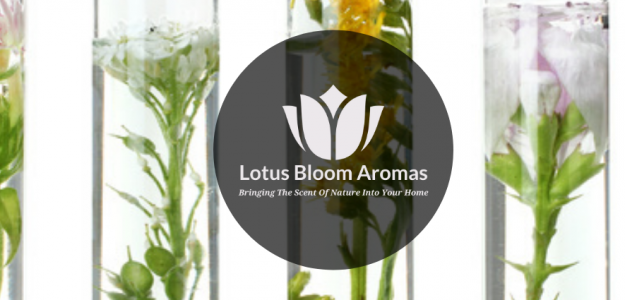 Lotus Bloom Aromas