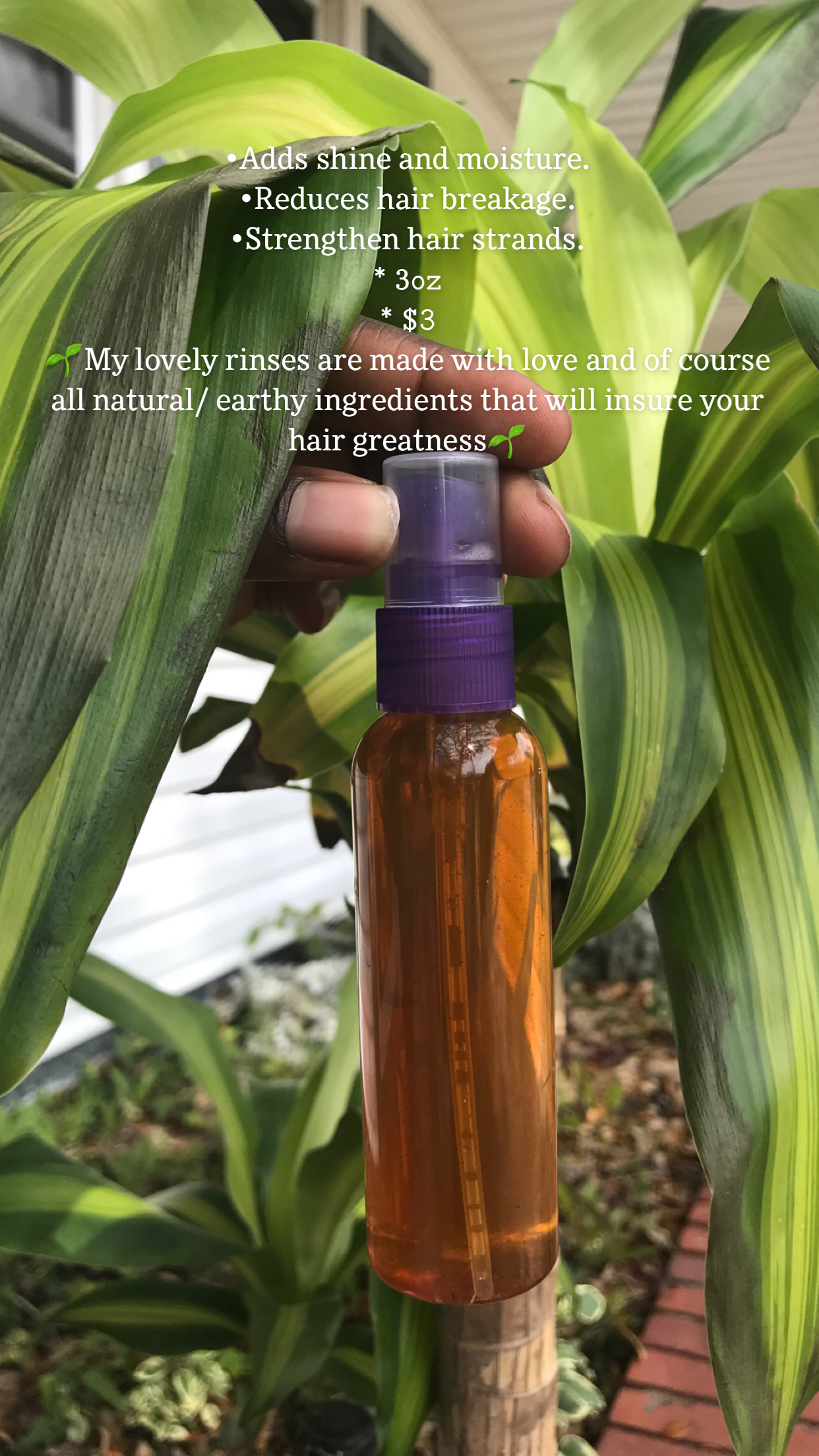 Cinnamon Spice Hair Rinse