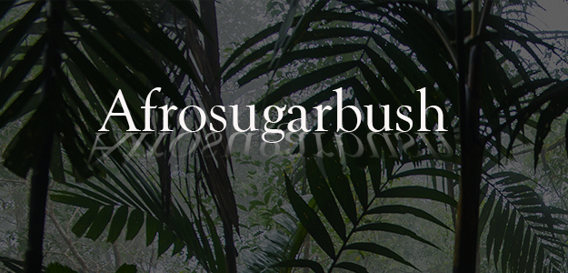 Afrosugarbush