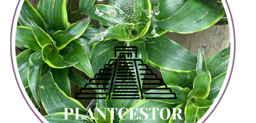 Plantcestor