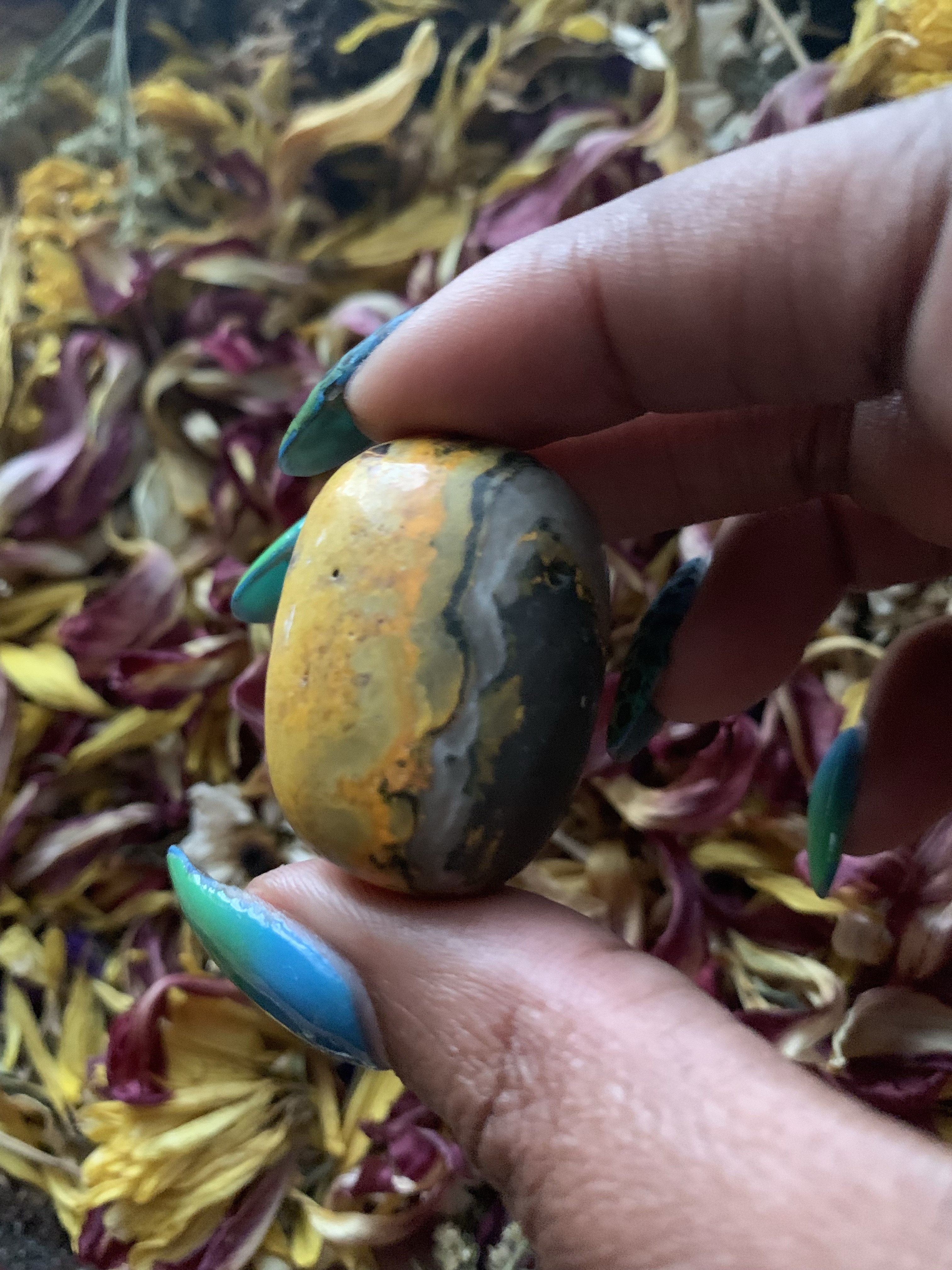 Bumblebee Jasper Tumble