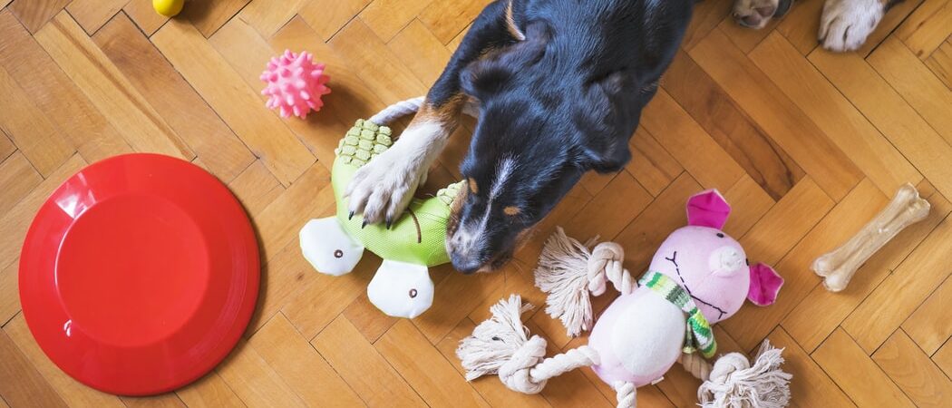 Pet Toys