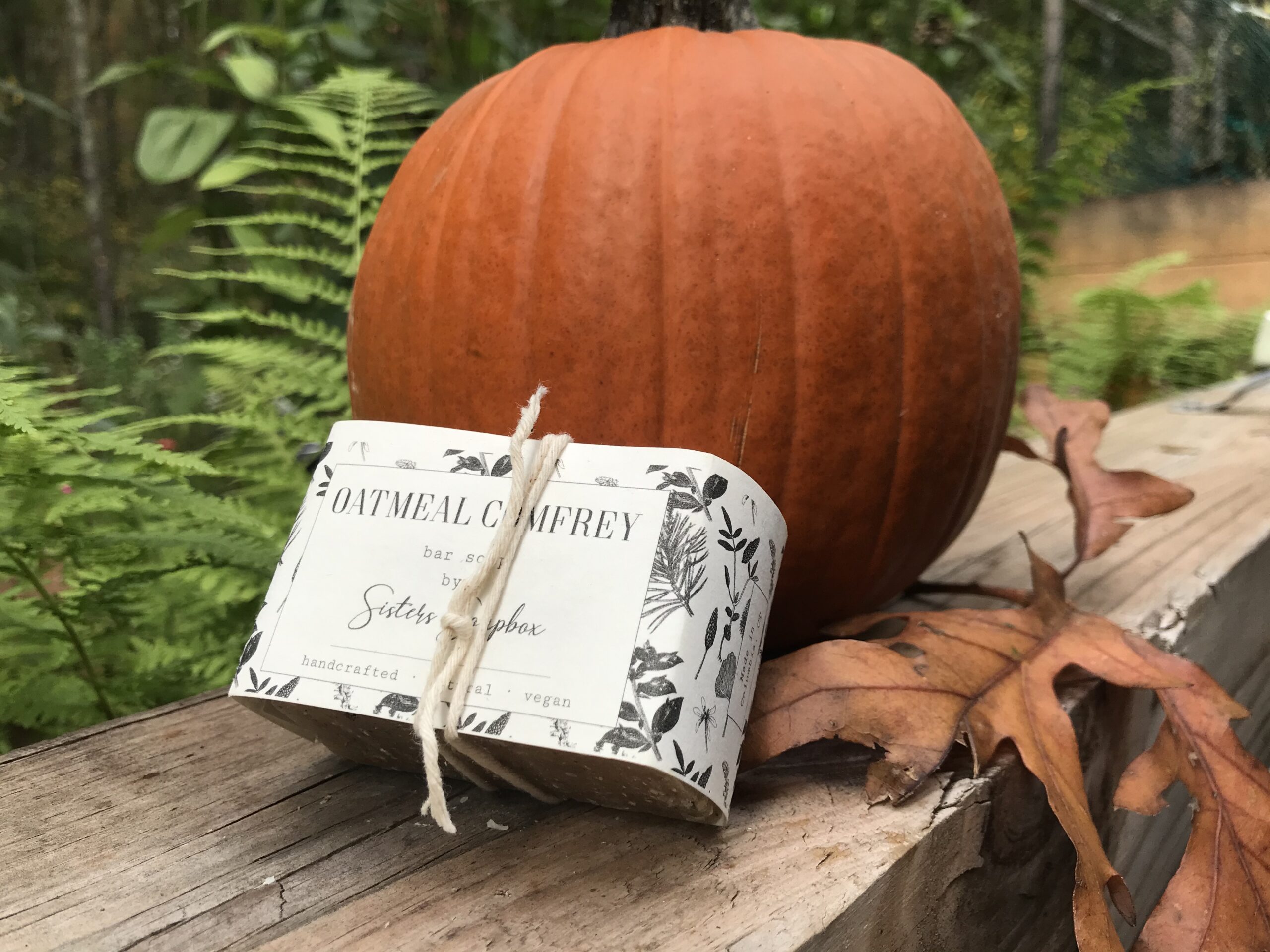 Oatmeal Comfrey Bar soap leaning against a pumpkin outside.