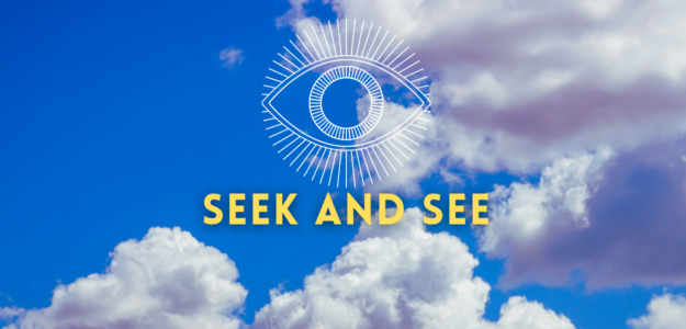 Seek and See