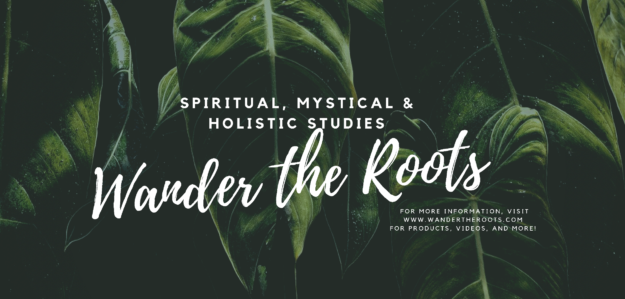 Wander The Roots