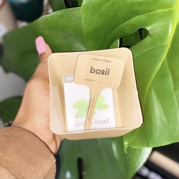 Kitchen Herb Starter Kit miiriya