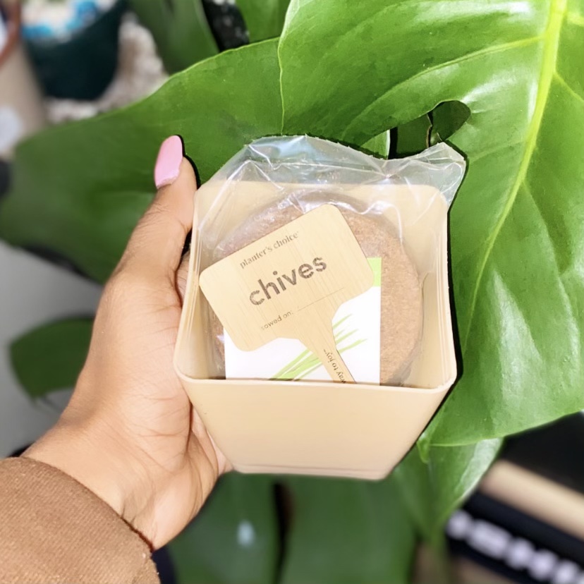 Kitchen Herb Starter Kit miiriya