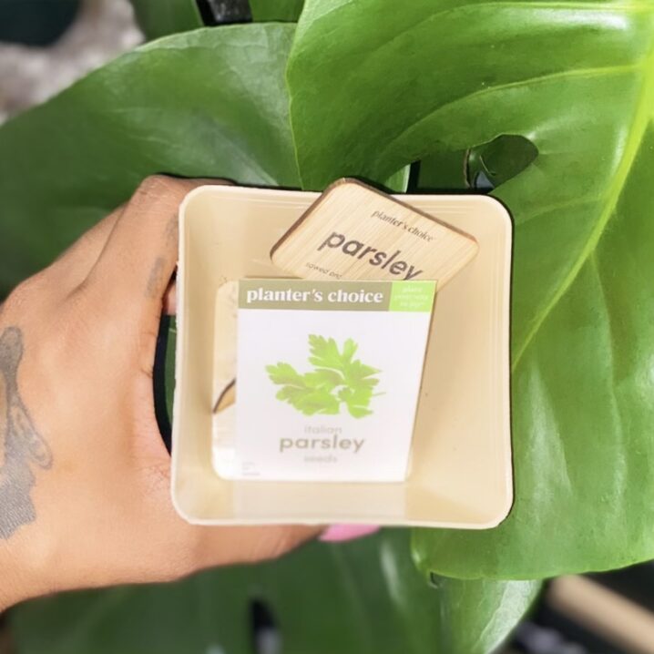 Kitchen Herb Starter Kit miiriya