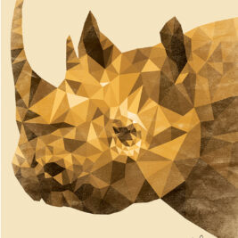Vintage Rhino