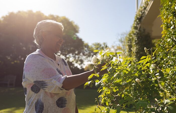 Gardening Products