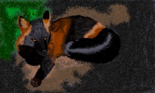 Canvas of a beautiful fox