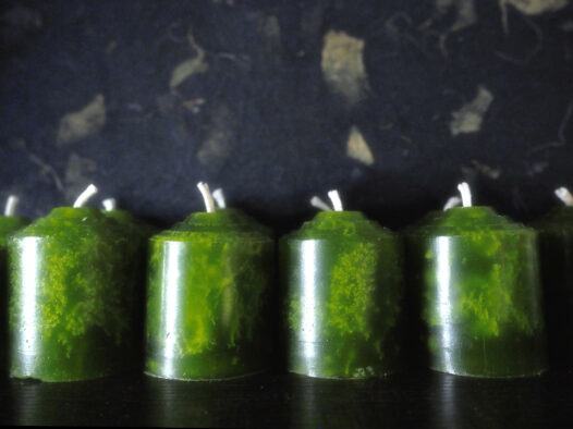Multiple green votive candles in front of a dark background, ylang ylang and camphor scented