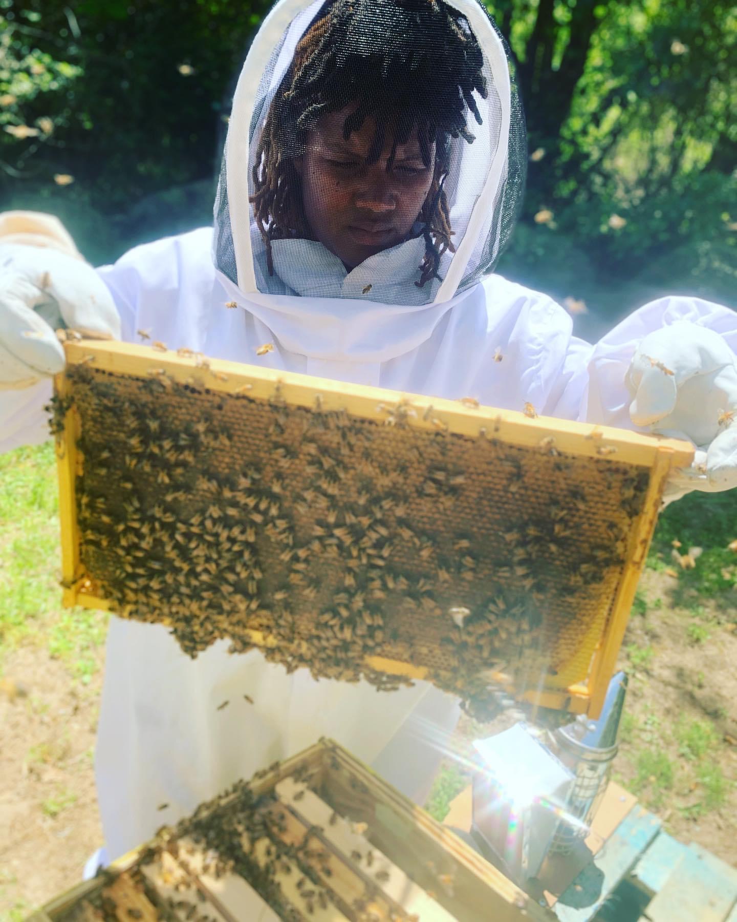 Inspecting my Bees