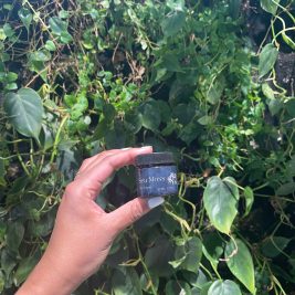 Sea Moss Eye Cream held in front of a wall of green foliage