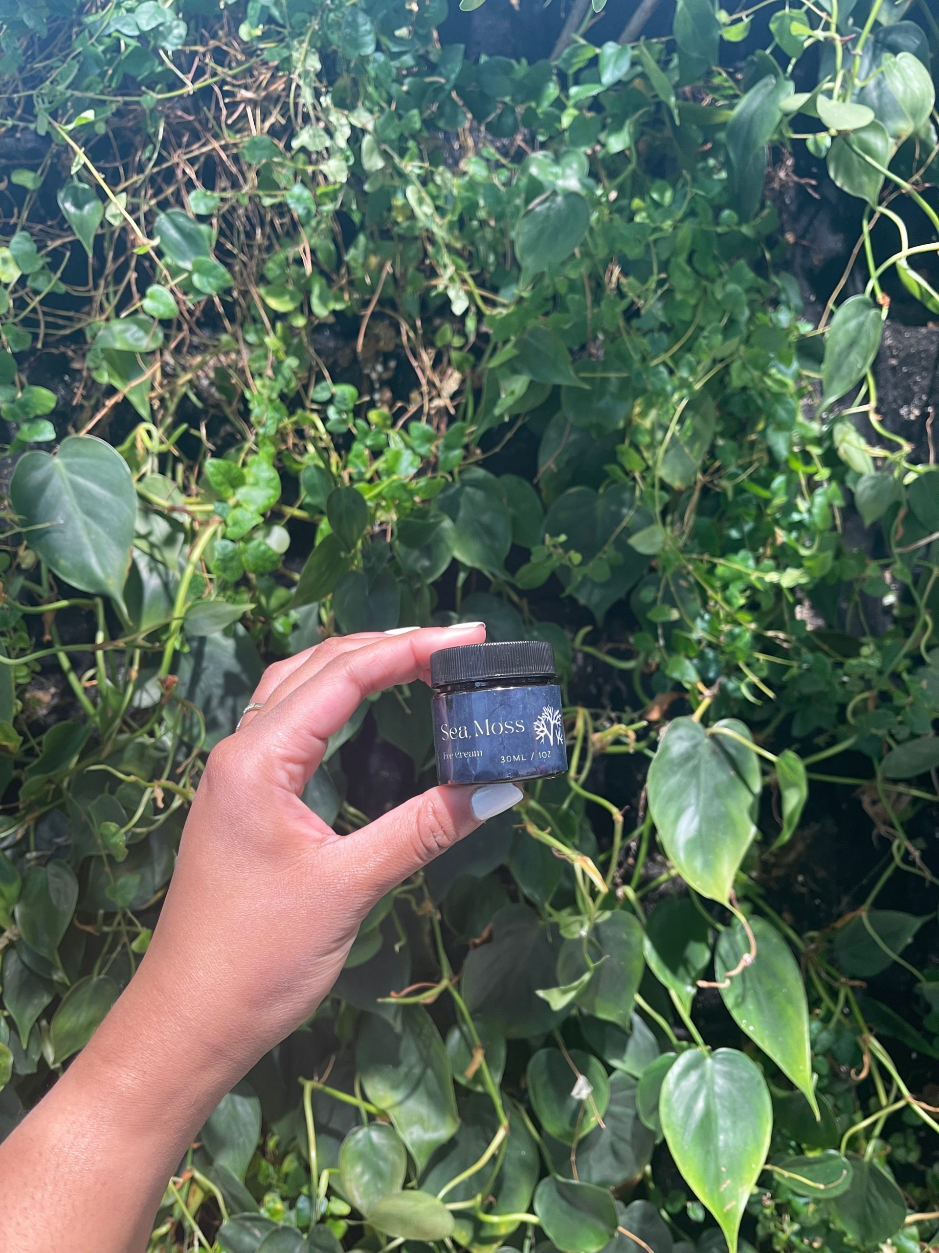 Sea Moss Eye Cream held in front of a wall of green foliage