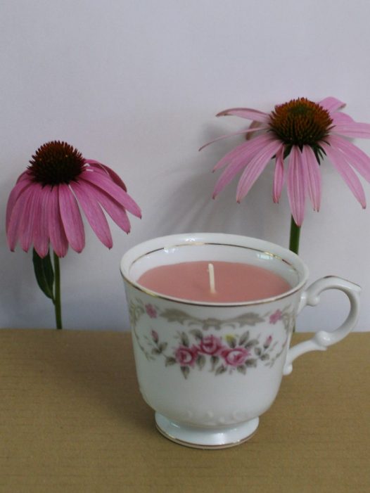 pink-colored teacup candle with Echinacea flowers