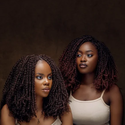 Mini Fro Kinky Twists | Passion Twists | 20 inches