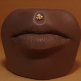 Bumblebee Labret Lip Ring Stud Piercing