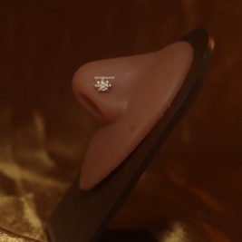 Enlightenment Styles Nose Stud Ring Piercing