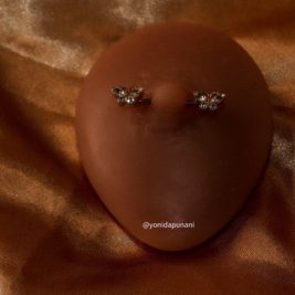 Butterfly Nipple Rings Body Piercing Jewelry