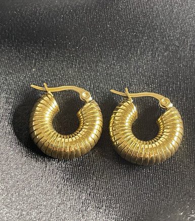Kadie Hoop Earrings  Everyday Style Jewelry For Fashionista Lovers