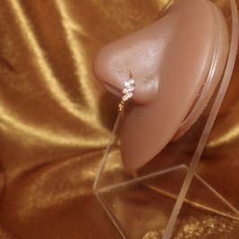 Karina Cubic Zirconia Nose Hoop Ring Piercing Jewelry