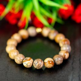 Picture Jasper Wrist Wear