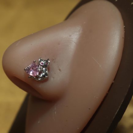 Cat holding heart nose stud