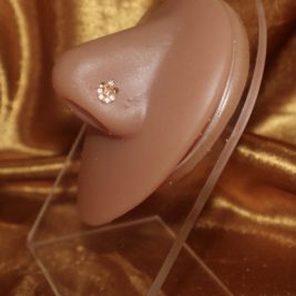 Diomara Cubic Zirconia Gems Nose Stud Ring Piercing