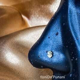 Steel Dollar Sign Nose Stud