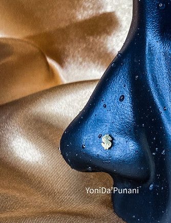 Steel Dollar Sign Nose Stud