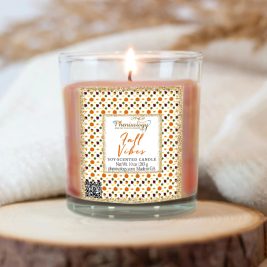 Fall Vibes Soy Candle