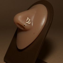 Cute Fit ZODIAC SIGN  NOSE CUFF