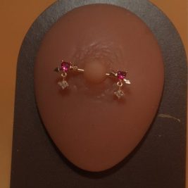 Lavish Dangle Nipple Rings Body Piercing Jewelry