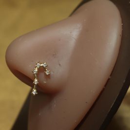 Minimalist Drop Nose Ring