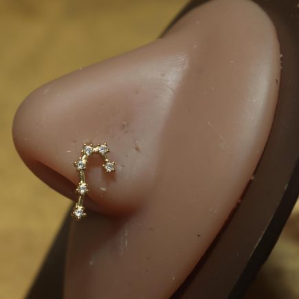 Minimalist Drop Nose Ring