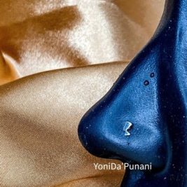 Steel Nefertiti Nose Stud