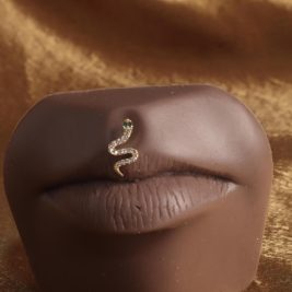 Push in threadless End Snake Lip body piercing