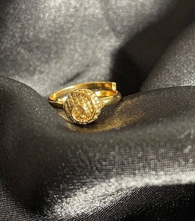 SANA Gold Color Toe Ring feet Fashion Accessory