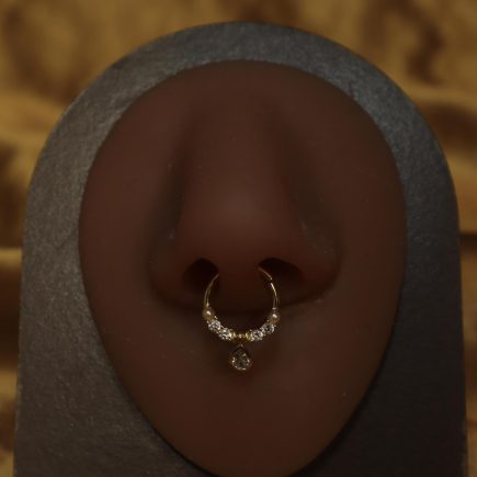 Sparkling  Gem Dangle Septum Nose Ring