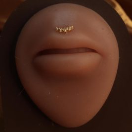 Straight Line Lip Piercing Medusa