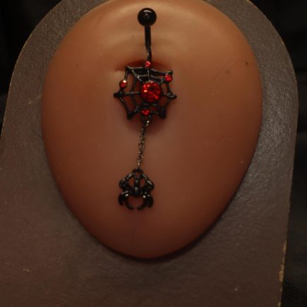 Webbed Wonder Belly Button Spider