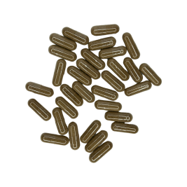 Organic Burdock Root (Arctium lappa) Capsules