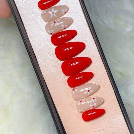 Delicate n' Bold | Handmade Press-on Nail Set