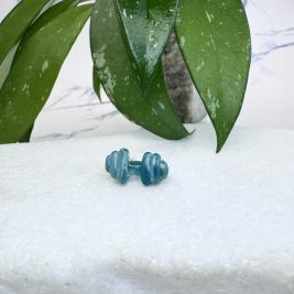 Teal Barbell
