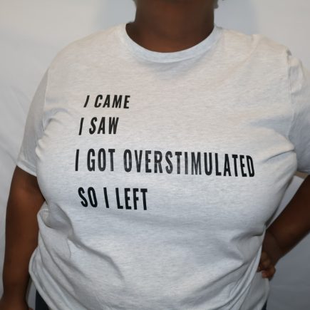 I Came, I saw T-Shirt (Ash)