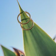 Gold staple hoop earrings on a green plant contrasting the blue sky 