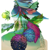 BERRY