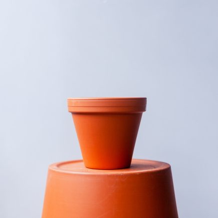 Terra Cotta Pot - Terra Cotta
