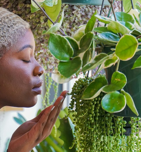Plants